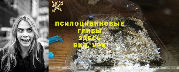 mdpv Новосибирск