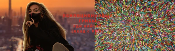 крисы Ладушкин