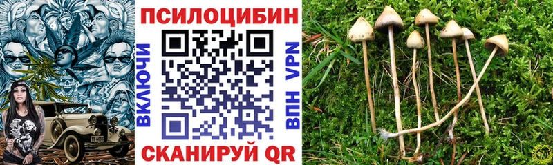 Галлюциногенные грибы мицелий  Юхнов 